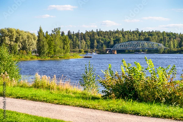 Obraz lake and forest