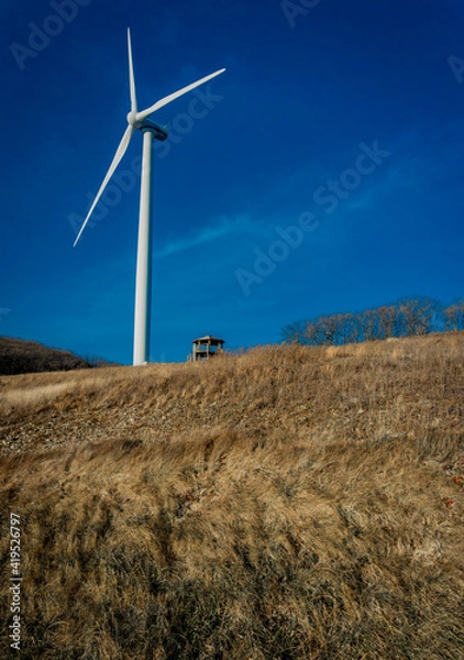 Obraz wind turbines farm