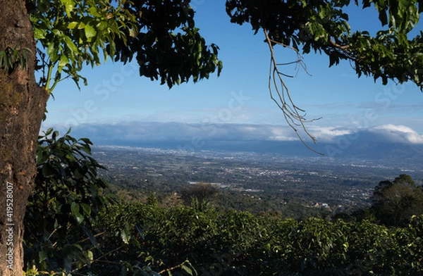 Obraz tree in the mountains