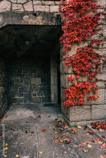 Obraz old brick wall