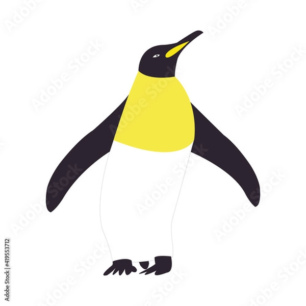 Obraz Crisp penguin on clean white backdrop vector illustration