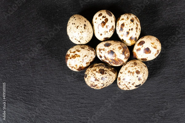 Obraz Boiled spotted quail eggs  on black stone plate , isolated on white background. Healthy Food Products Concept.