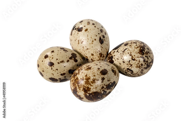 Obraz Boiled spotted quail eggs  isolated on white background.  Healthy Food Products Concept