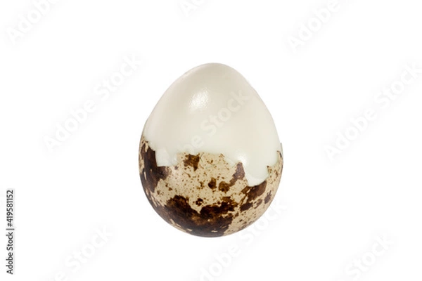 Obraz Boiled spotted quail egg  isolated on white background.  Healthy Food Products Concept
