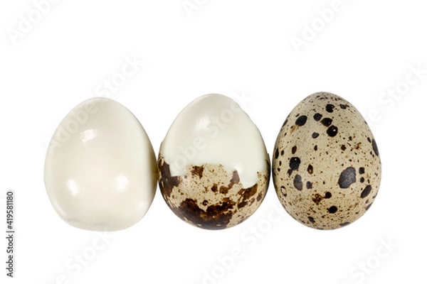 Obraz Boiled spotted quail eggs  isolated on white background.  Healthy Food Products Concept