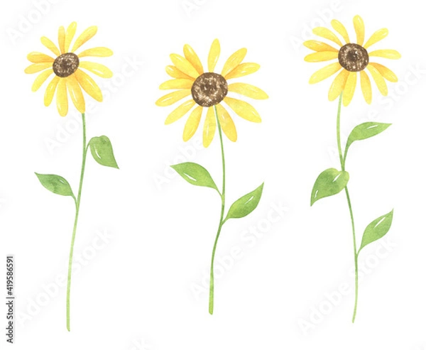 Obraz Watercolor Sunflowers Set