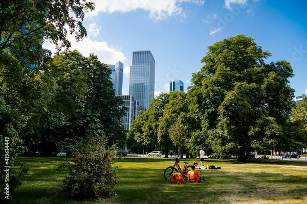 Fototapeta View from Gallusanlage behind the trees, skyscrapers at the financial district, Wall Park in front of the skyline in downtown, Marienturm, green grass, Frankfurt am Main, Germany