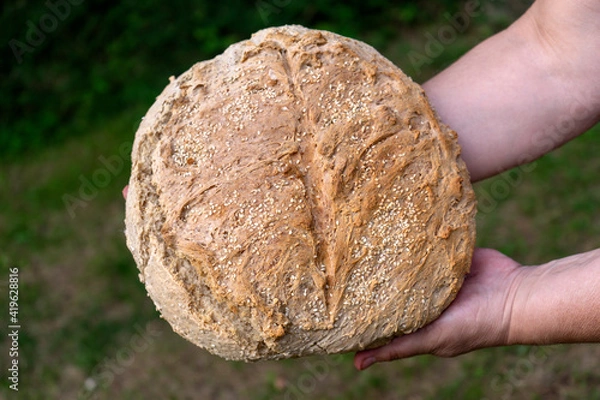 Obraz Homemade rustic bread with sesame