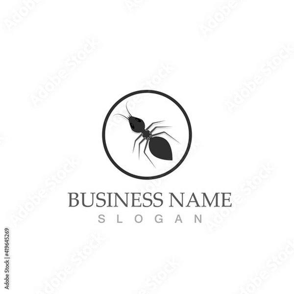 Fototapeta Ant vector illustration design