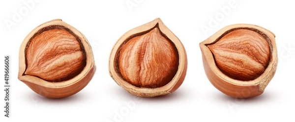 Obraz Halfs of hazelnut isolated on white background