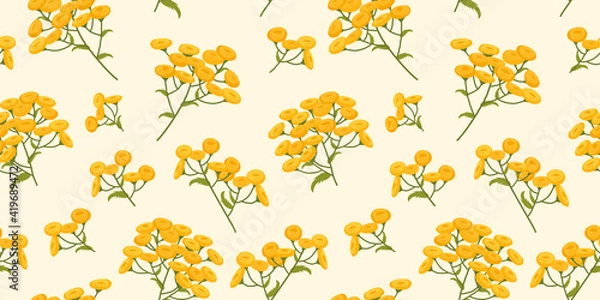 Obraz Tansy. A pattern of plants with yellow flowers. Botanical illustration on a beige background.