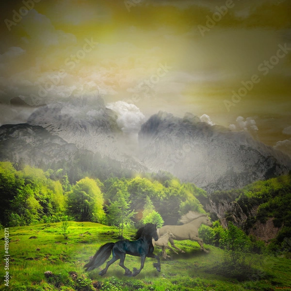 Obraz horses running into the endless valley