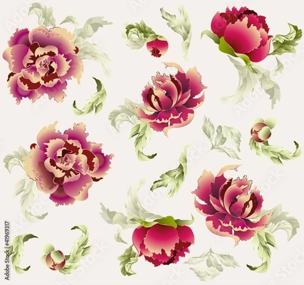Fototapeta Seamless background. Illustration peony.