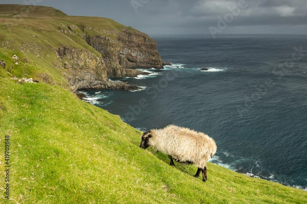 Obraz Faroe Island Postcard