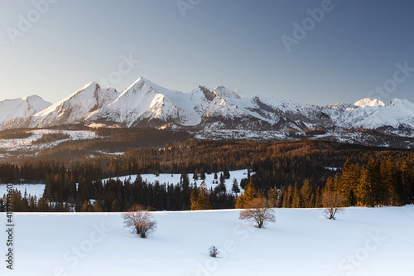 Obraz winter mountain landscape