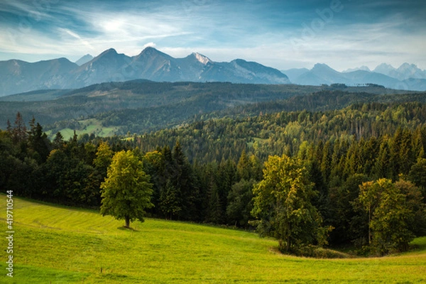 Obraz landscape in the summer