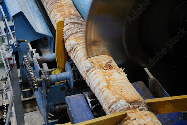 Fototapeta Wood processing at a sawmill. Preparation of a log for the production of plywood and veneer, sawing and cleaning of blanks in a woodworking plant, a technological line