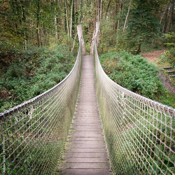 Fototapeta suspension bridge in the forest