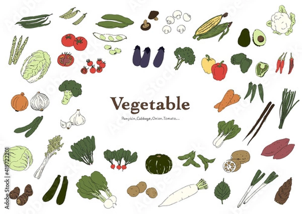 Fototapeta 野菜のイラストセット-カラーバージョン