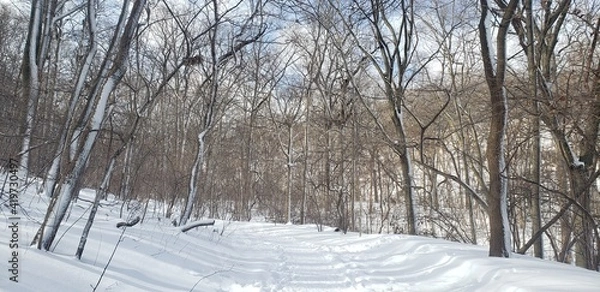Fototapeta Winter landscape of Inwood Hill Park in Northern Manhattan. The trail is blanketed in snow and surrounded by bare trees.