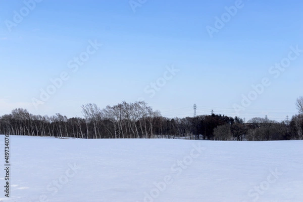 Obraz 北海道の雪景色