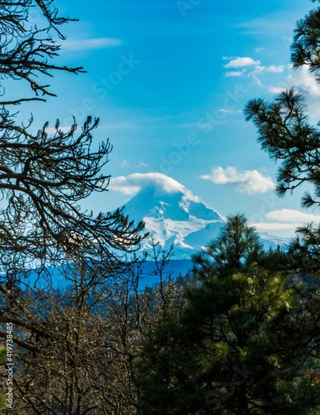 Obraz Mt. Hood