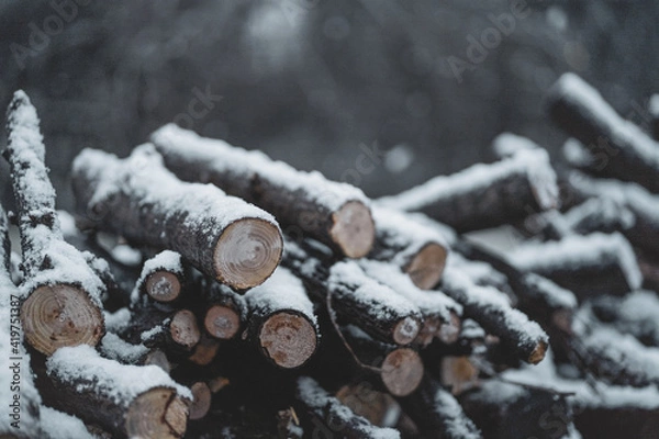 Fototapeta Snow Covered Logs