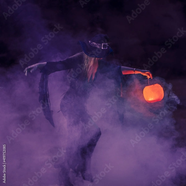 Fototapeta Witch in the Fog