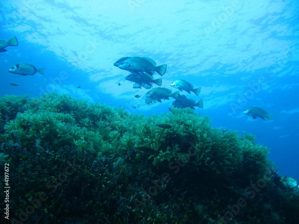 Obraz Aguas de España