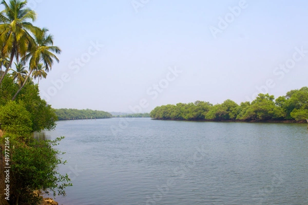 Obraz Goan Landscape Coconut Tree Lined Backwater