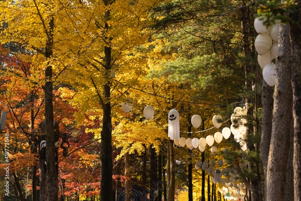 Obraz Gapyeong,South Korea-October 2020: Autumn foliage tree in the forest and ghost halloween decoration hanging on the tree in Nami Island, South Korea