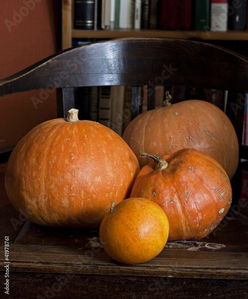 Obraz Set of pumpkins.