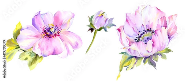 Obraz Flowers watercolor illustration. Manual composition.Design for cover, fabric, textile, wrapping paper .