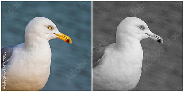 Obraz Dither patterns, special black and white method