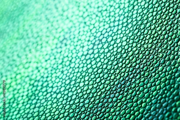 Fototapeta Imitation of green scales. Abstract background with artificial shiny leather shot close up