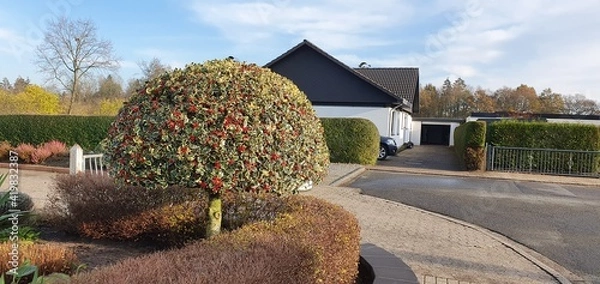 Obraz old country house