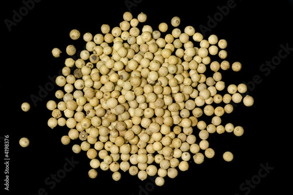 Fototapeta Pile of white pepper..
