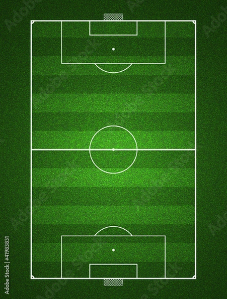 Obraz Football field