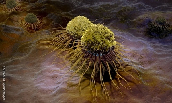 Fototapeta Krebszellen