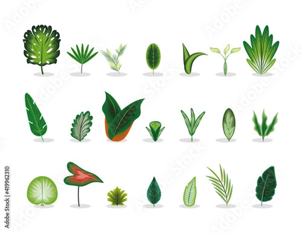 Obraz set leaf leaves