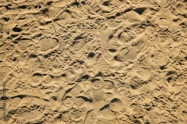 Fototapeta many different prints in the sand: a human foot, shoes, birds, animals. The texture of sand with small stones and dry algae. Sand surface.