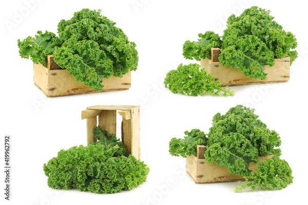 Fototapeta freshly harvested  kale cabbage in a wooden crate on a white background
