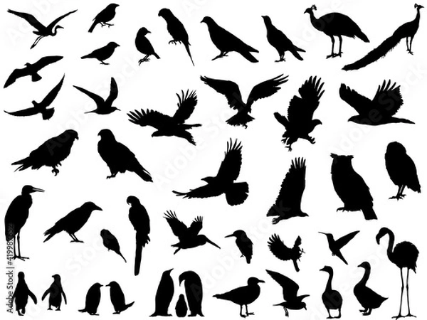 Obraz 鳥シルエット_セット