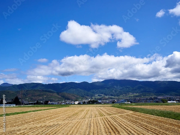 Obraz 秋、稲刈りが終わった後の田んぼ 鉢伏山方面 長野県松本市