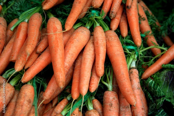 Fototapeta たくさんのニンジン