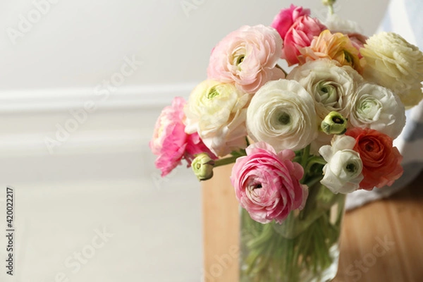 Fototapeta Beautiful ranunculus flowers in vase on table indoors, closeup. Space for text