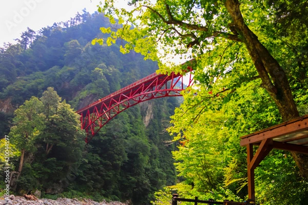 Obraz 森の中に浮かぶ赤い橋