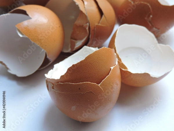 Obraz broken egg shell