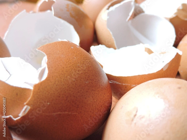 Obraz broken egg shell