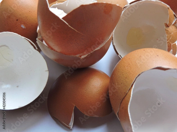Obraz broken egg shell